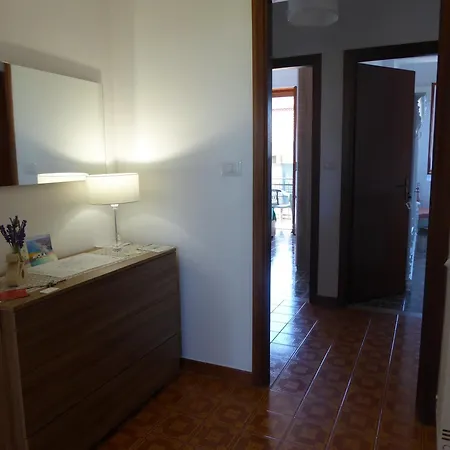 The Shamrock House *